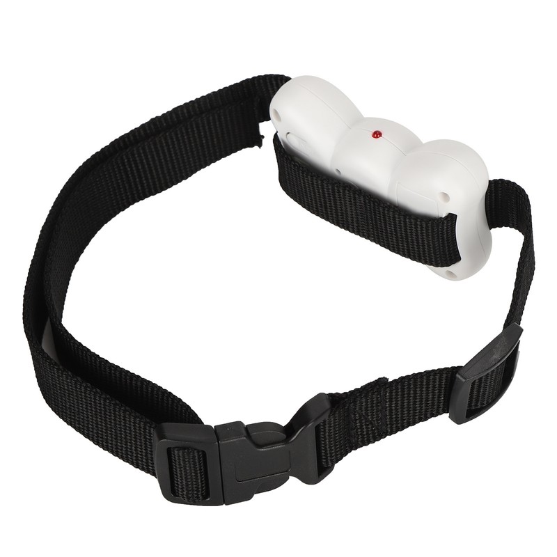 Pet Anti Barking No Harm Collar Small Dog Training Collar