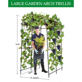 Dollate Garden Arch Trellis 7FT, Thickened Steel Frame Garden Trellis for Climbing Plants, Adjustable Width 3-4.3 FT Cucumber Trellis for Raised Bed, Vegetable Fruit Flower Vine