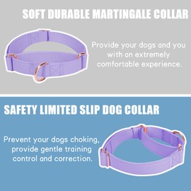 Soft Leather Martingale Dog Collar - Adjustable Rose Gold Limited Slip Collars [Easy to Clean], Stylish Durable Heavy Duty Nylon No Pull Training Collar for Small Medium Large Dogs L Purple