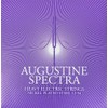 AA Augustine Electric Guitar Strings (HLSPECTRAHEAVY)