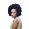 Cherish Bulk - Afro Kinky 24" (1B)