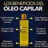 DUO OLEO TERRAMAR PARA EL CABELLO 98ML