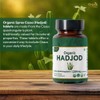 ORGANIC SPREE Hadjod 120 Tablets – USDA Organic Cissus Quadrangularis