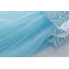 LAUPHIE Princess Costume Cinderella Dresses for Girls Blue Dress Up