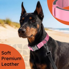 ILFINDYOU Premium Leather Dog Collar, Dog Collars for Medium Dogs, Pink