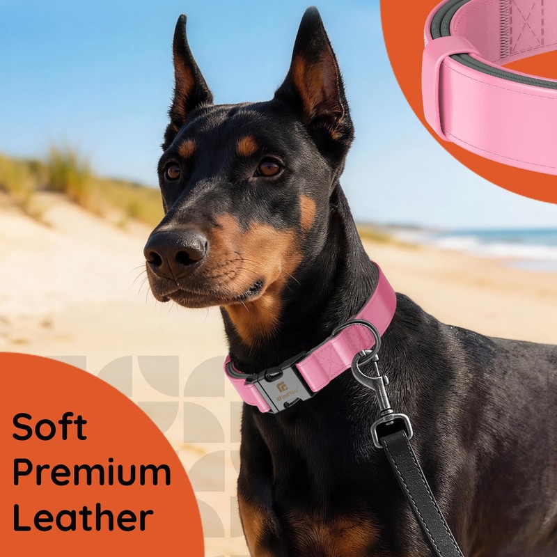 ILFINDYOU Premium Leather Dog Collar, Dog Collars for Medium Dogs,