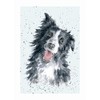 Wrendale Designs Greeting Card - BORDER COLLIE (Jess)