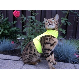 Mynwood Cat Jacket/Harness High Viz Adult Cat