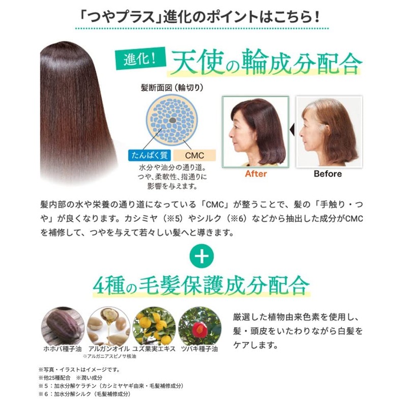 Rishiri Hair Color Treatment, Gloss Plus (Dark Brown) + Color