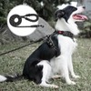 PoyPet Dog Leash 5 Feet for Small Medium and Large