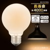 Ohm (OHM) LB-GL9640K-WN 06-0862 Electric Incandescent Incandescent Bulb Ball Bulb