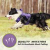 WINGOIN Purple Tactical Dog Harness for Medium Dogs, Heavy Duty