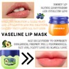 Bee Lip Balm Honey Pot Set, 6PCS Moisturizing Mask for
