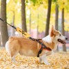 PWHAOO Handler Need Space/Not Dog Friendly Dog Leash Wrap Rescue