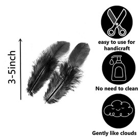 800Pcs Black Rooster Feathers 3-5-inch Bulk Feathers for Crafting Kindergarten DIY Crafts, Wedding, Family Party Decorations, Dream Catcher Supplies, Natural Feathers