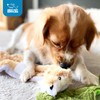Best Pet Supplies 2-in-1 Stuffless Squeaky Dog Toys with Soft,