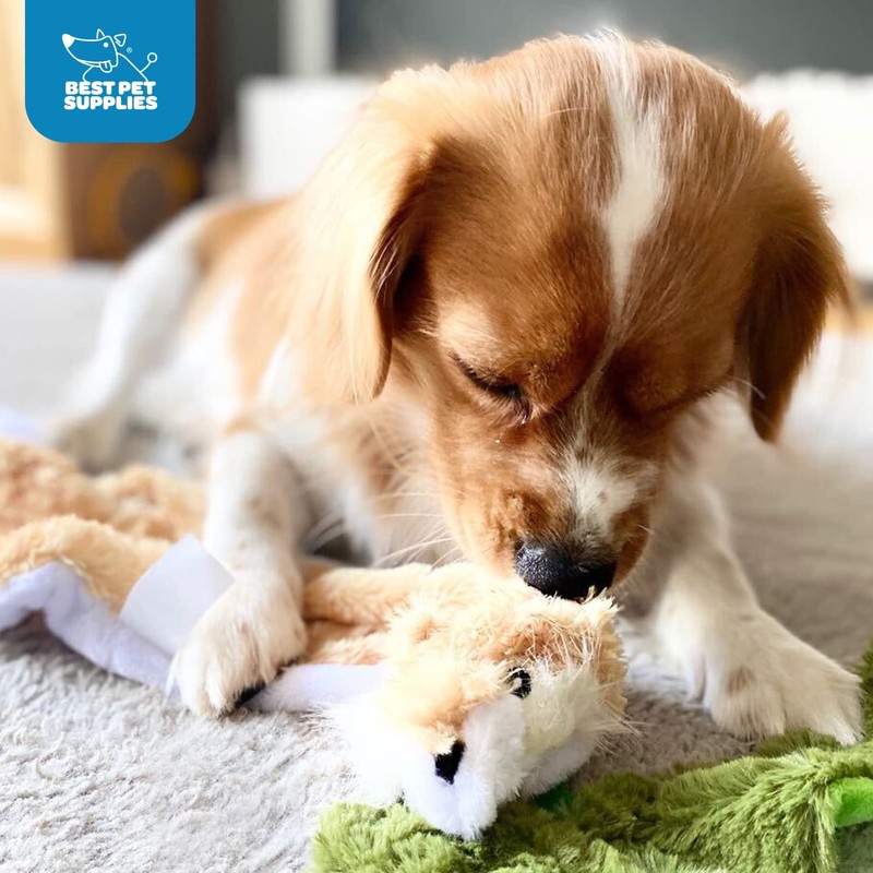 Best Pet Supplies 2-in-1 Stuffless Squeaky Dog Toys with Soft,