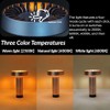 HAPYGI Cordless Table Lamp - Touch Sensor with Dimming