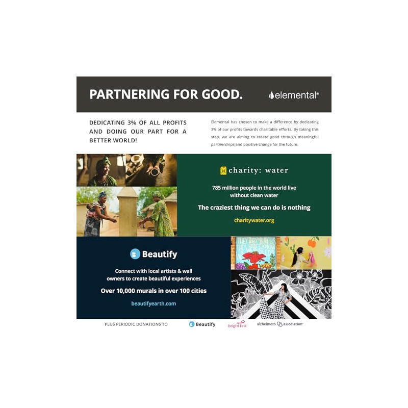 Elemental Iconic Charm Water Bottle 14oz Strap - Rose