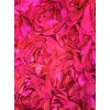 Maci HOT Pink 3D Floral Polyester Satin Rosette on Mesh
