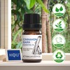 HIQILI Cinnamon Essential Oil,Pure Natural Organic Therapeutic Grade for Diffuser,Massage-10ml