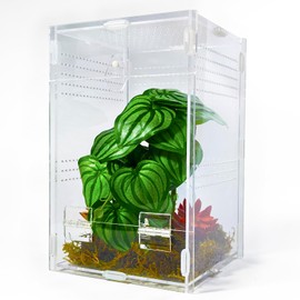 Duedusto Jumping Spider Enclosure 6”x6”x10”, Arboreal Tarantula Enclosure, Praying Mantis Terrarium Critter Cage for Jumping Spider, Tarantula, Mantis, Snail, Isopods, Beetles, Millipedes