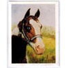 Horse Head Study Notecard Set - 12 Note Cards (HOS-12)
