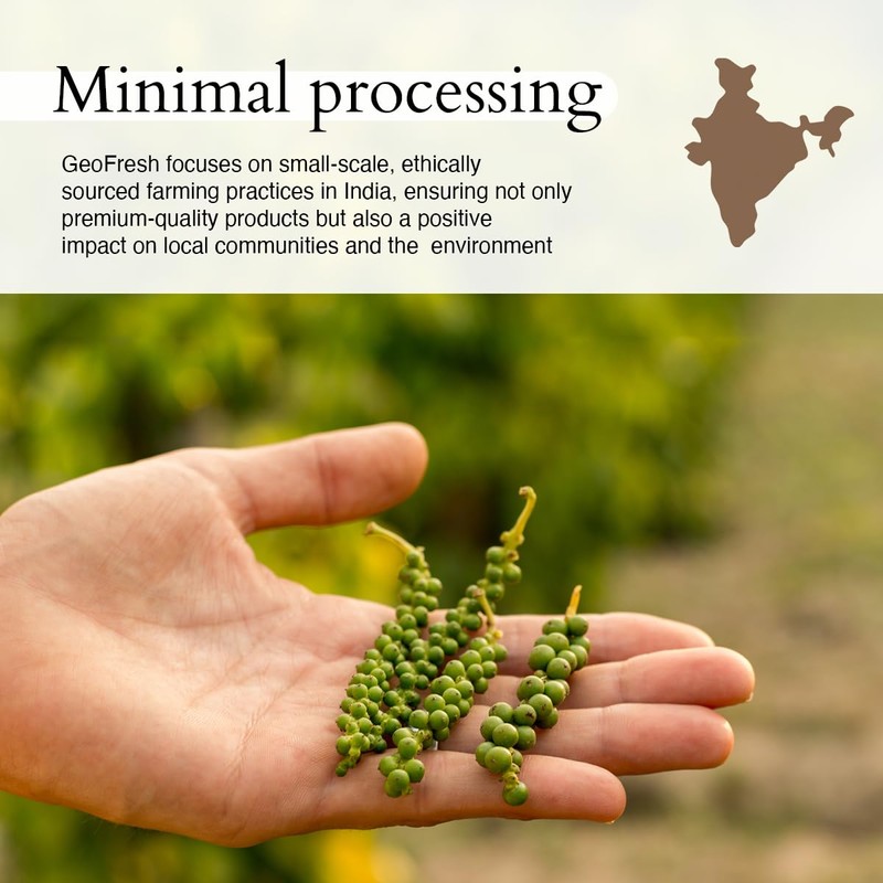 Geo-Fresh Organic Black Pepper Powder – 1.94 oz Glass Jar