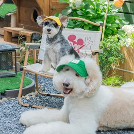 Pet Dog Baseball Cap, Cat Hat, Cat Dog Sun Cap with Ear Holes, Adjustable Puppy Outdoor Sun Hat (Yellow, X-Large)