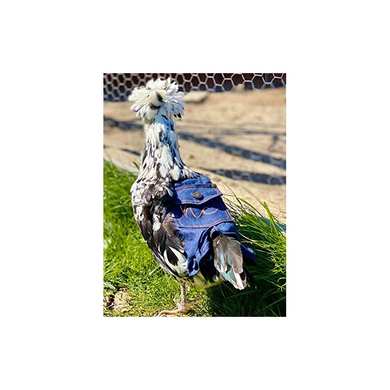 HEN COUTURE Hen Saddle Single Strap Denim Apron Jacket Standard