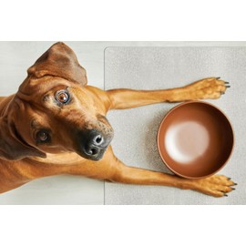 ExactMade Clear Pet Protection - USA Made Vinyl Pet Bowl Mat, 12 x 18 Inch, Waterproof, Safe, Thick Pebbled