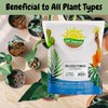 Dry Horticultural Molasses Powder (4 Pounds), Indoor/Outdoor Gardening Soil Amendment