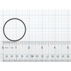 KOHLER 48694 Rubber O-Ring