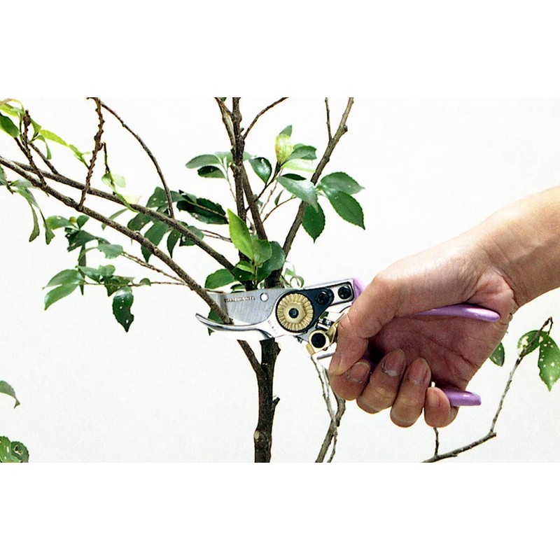 Hana pruning shears for women gold