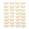 30pcs Wig Clips Stainless Steel Snap Clips for Hair Extensions