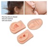 3D Nose and Mouth Model Silicone Ear Model Simulation Display