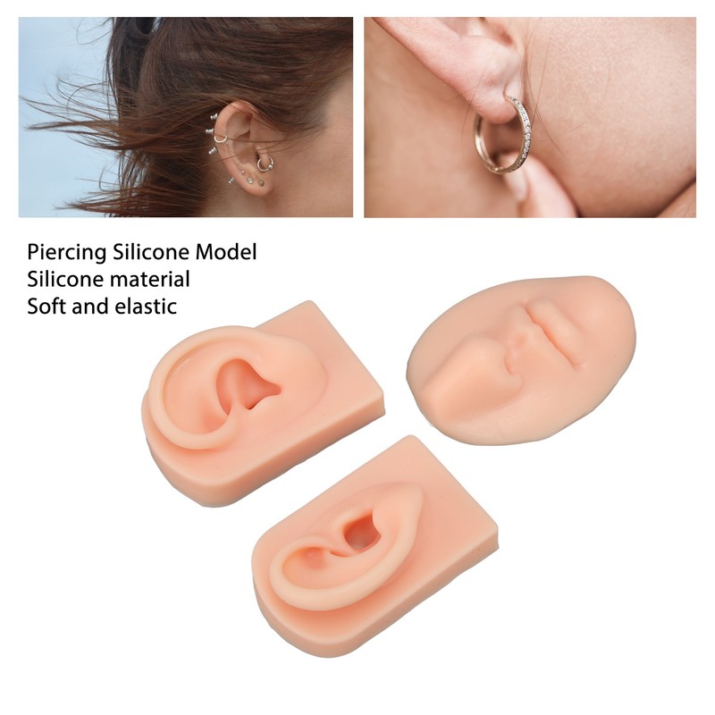 3D Nose and Mouth Model Silicone Ear Model Simulation Display