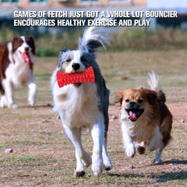 VANFINE Dog Squeaky Toys Almost Indestructible Tough Durable Dog chew Toys for Large Dogs Aggressive chewers Breed Stick Puppy Toys with Non-Toxic Natural Rubber