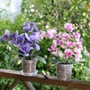 TRUEDAYS Orchid Pot - 4 Pack 4 Inch Clear Plastic