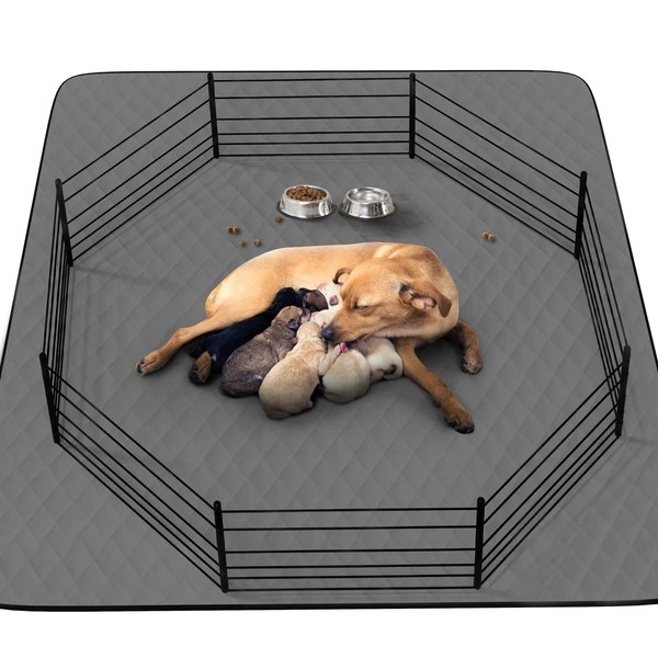 CoolShields Washable Puppy Dog Pee Pad, 34" X52" Extra Large,