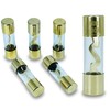 100A AGU Gold Plated Glass Fuse 100 Amp Car Audio