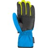 Reusch Men's Bradley R-TEX Warm Waterproof and Breathable Winter Glove