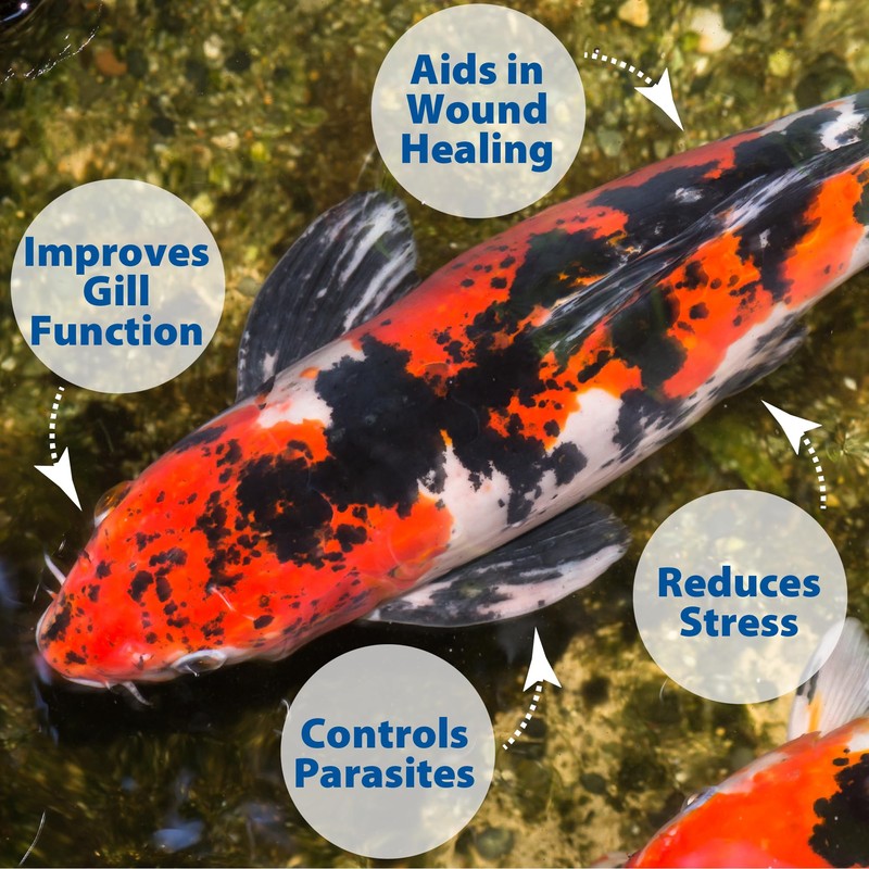 The Pond Guy Pond Salt - 10 Pounds