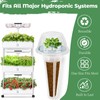 Basil Seed Pods Kit Hydroponic - Refill Herb Pod for