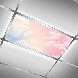 RoseFace 2PCS Fluorescent Light Covers for Classroom Ceiling Lights Magnetic Light Covers,Fluorescent Light Filters for School Home Office Drop Ceiling Lamp Decor Light Filters 4x2Feet（Clound）