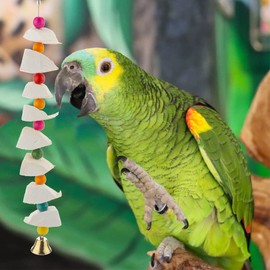 DQITJ Bird Cuttlebone Chew Toy, Natural Calcium Cuddle Bone Sharp Beaks Cage Toy for Parrot Budgie Conure Cockatiel (8 Pcs in a Bunch)