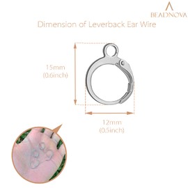 BEADNOVA Stainless Steel Leverback Earring Hooks 100pcs French Ear Wire Lever Back Earwire for Jewelry Making Crafting