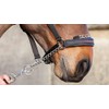 LeMieux Pro-Safe Headcollar for Horses & Ponies in Black -