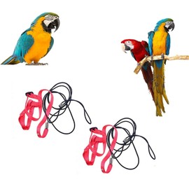 2pcs Adjustable Harness for Parrots Bird Harness Lead for Outdoor Train Flies Leash Against Biting Elastic Band for Birds Parrots Cockatoos Macaws
