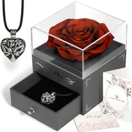 VISIBILIO Preserved Rose with Necklace, Forever Real Rose, Passion Red Gifts for Women, Long Lasting Rose Box, for Wife, Romantic Gifts for Her, Mother's Day Necklace, Rose